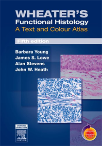 ylsw_wheathistology_cover_tsr.png