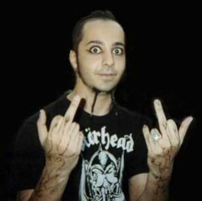 Biografia de los integrantes de sistem of a down + yapa