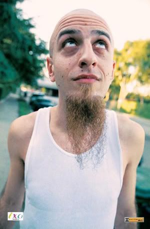 Biografia de los integrantes de sistem of a down + yapa