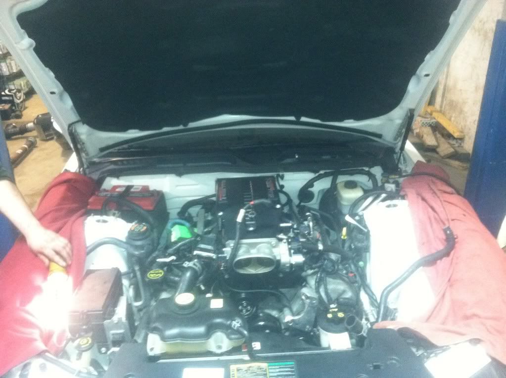 How to build a Stroker 5.0 Ford Mustang Forum