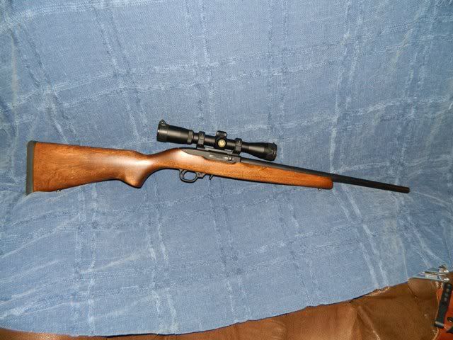 Ruger1022003.jpg