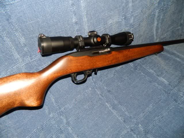 Ruger1022005.jpg