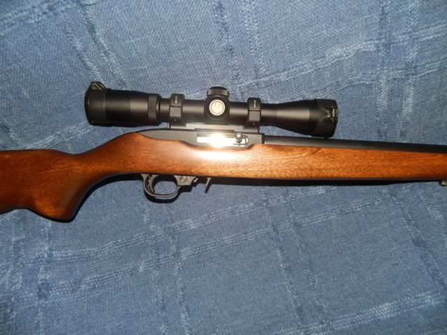 Ruger1022007.jpg