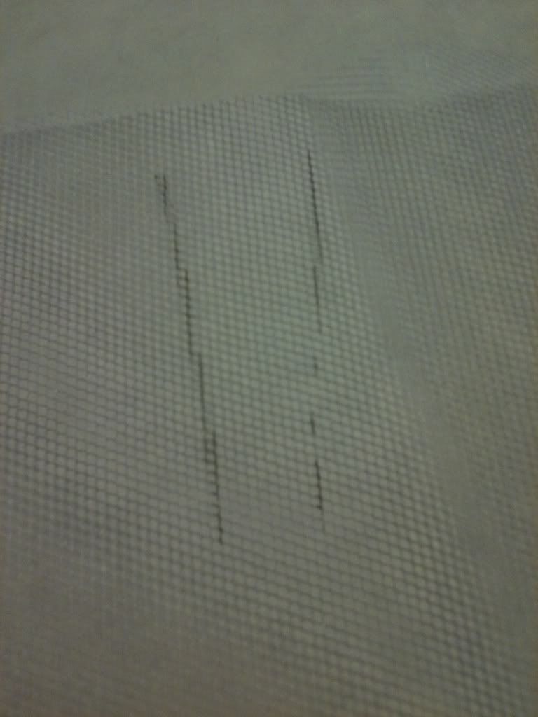 FAD3F1B1-5806-4FE7-9129-AAB205C8A048-118