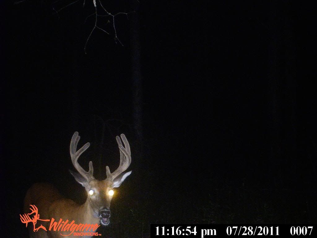 1 of my targets for this year!!!!! New Jersey Hunters