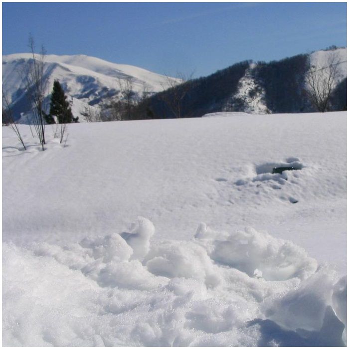 boda_nieve_ideas_boda_estanochesoyunaprincesa bodas_nieve_bodasinvierno_vestidonovia_ideas_decorarbodas_estanochesoyunaprincesa.jpg