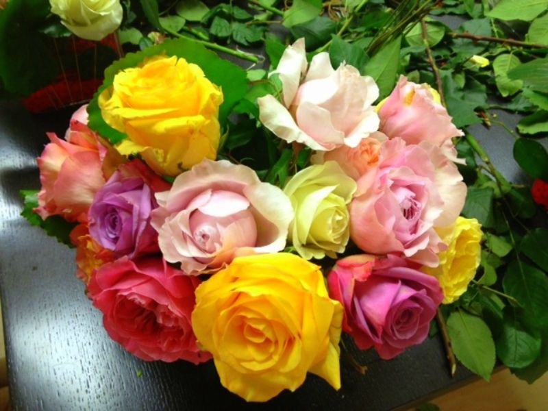 photo rosas_zps90b1363c.jpg