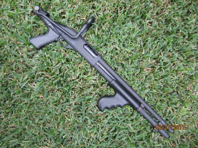 [Linked Image from i1091.photobucket.com]