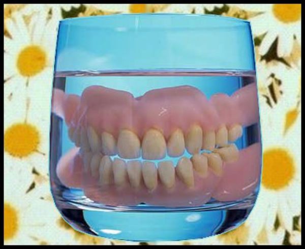  photo daisyteeth3.jpg