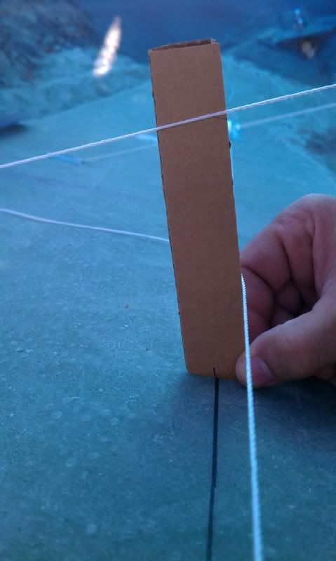 IMAG0497.jpg