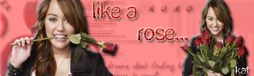 [Image: likearose.png]