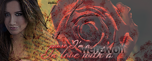 [Image: sSwai0oA.png]