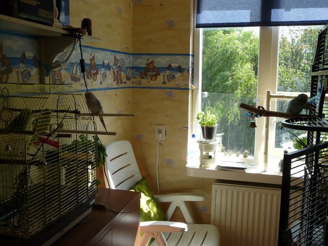 Afbeelding
