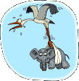 cegonha0008.gif