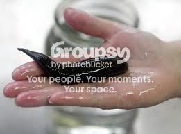 imagesjpeg.jpg