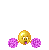 rasco.gif