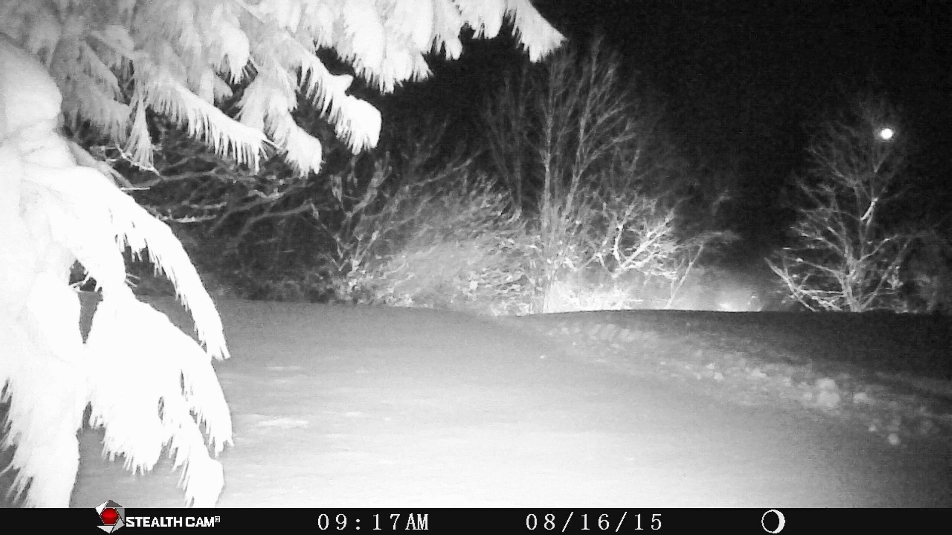 photo Winter 2019_zpsh8lhdhqr.jpg