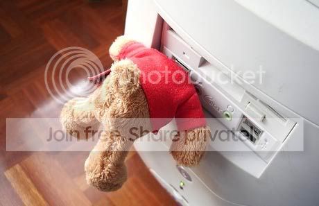 1290934036.jpg