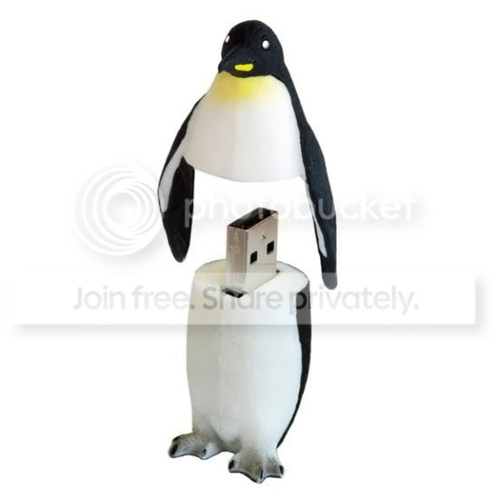 1290934054.jpg