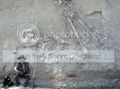 1290959903.jpg