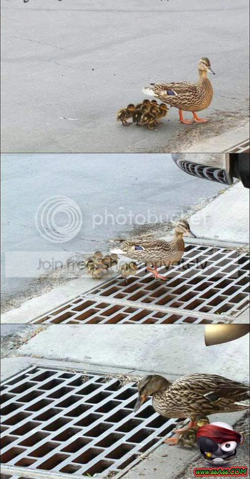 1291385441.jpg