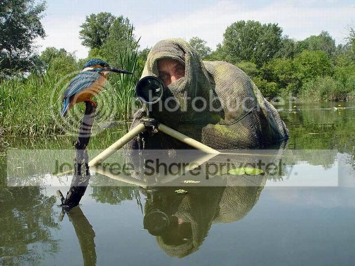 1291460450.jpg