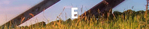 Cheers_zps5cd66889.gif